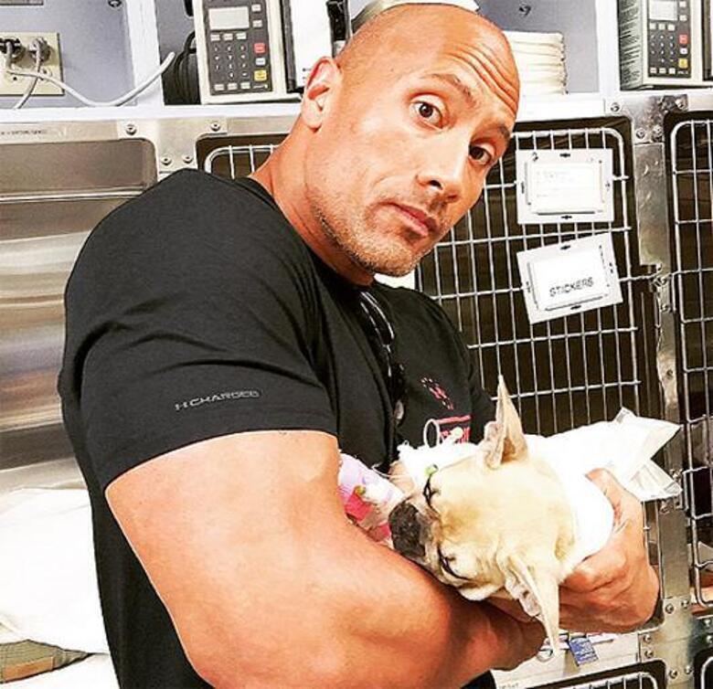 Дуэйну Джонсону пришлось усыпить одного из своих щенков. Фото: Instagram.com/therock.