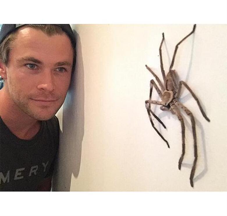 Крис Хемсворт. Фото: Instagram.com/chrishemsworth.