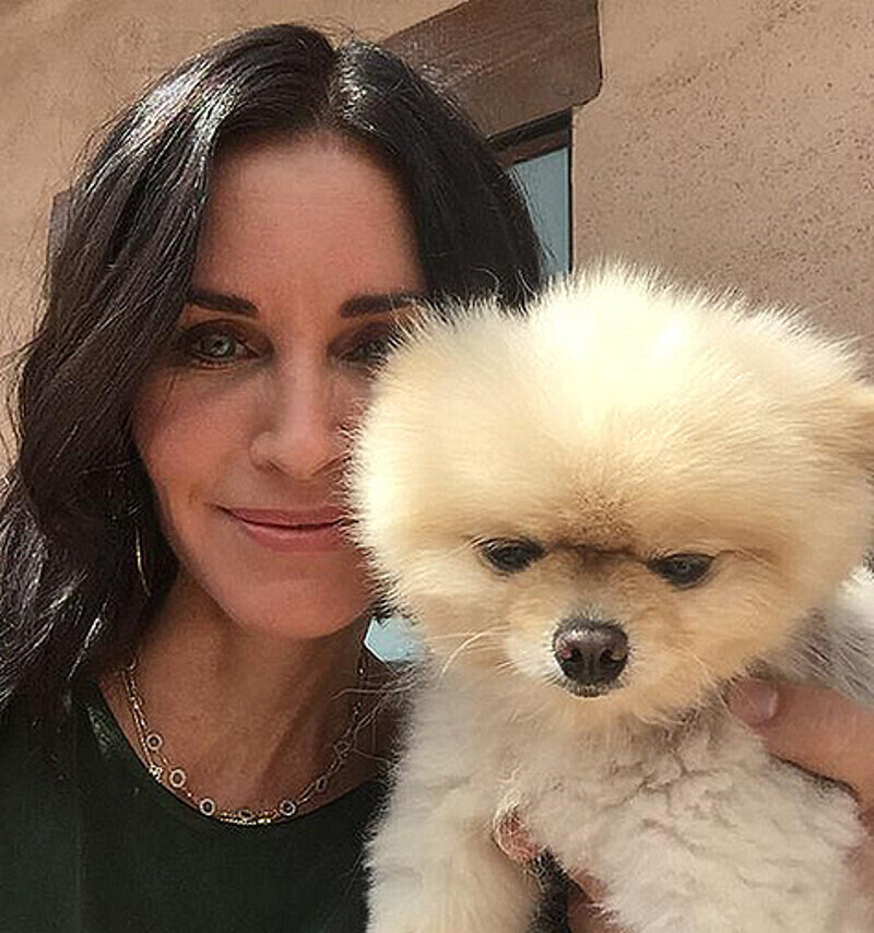 Кортни Кокс. Фото: Twitter.com/@CourteneyCox.
