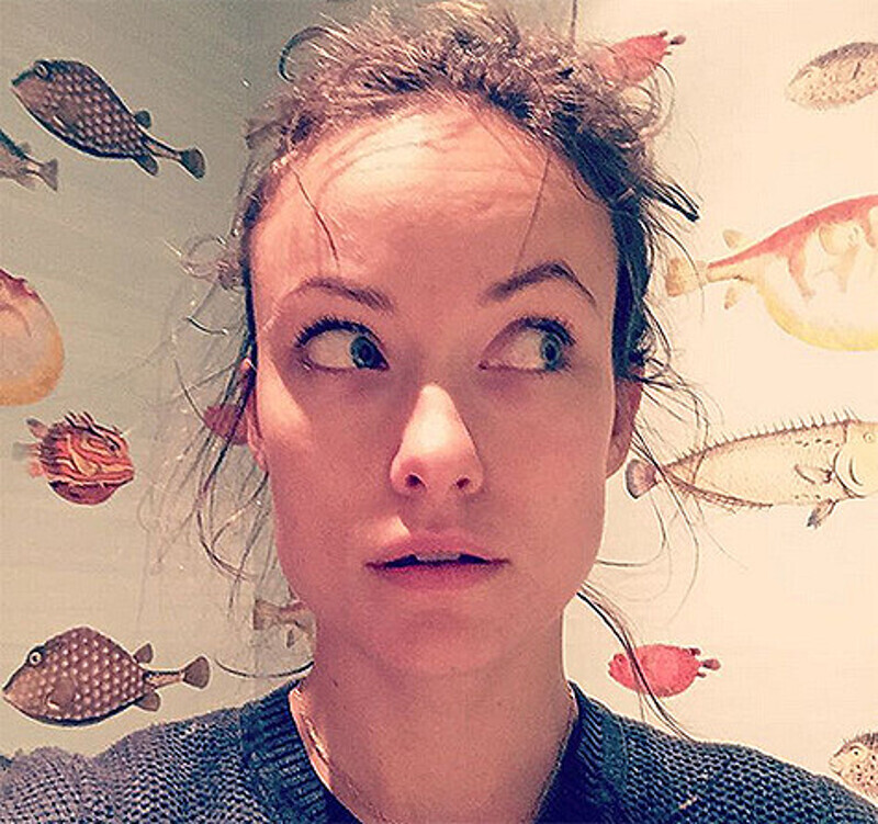 Оливия Уайлд поделилась снимком своей растрепанной прически после игр с сыном. Фото: Instagram.com/oliviawilde.