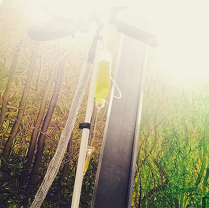 Елена Ваенга заболела. Дело даже дошло до капельницы. Фото: Instagram.com/Vaengaofficial.