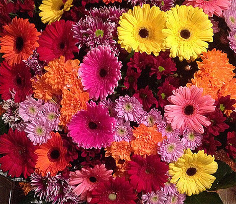 Команда КВН, в которой играла Надежда Ангарская, поздравила артистку с рождением первенца. Фото: Instagram.com/nadezhdaangarskaya.