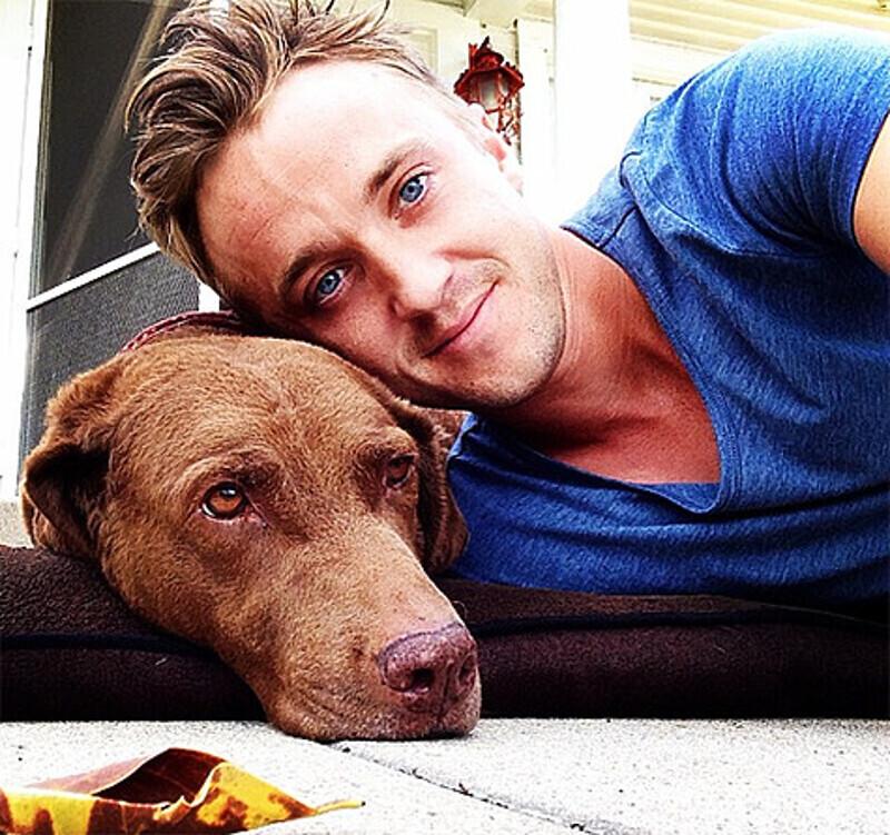 Актеру Тому Фелтону фанаты предлагали стать… приемным сыном! Фото: Instagram.com/t22felton.