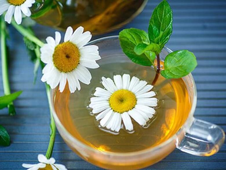 Какие продукты способствуют обновлению клеток кожи? Фото: Lori.ru.