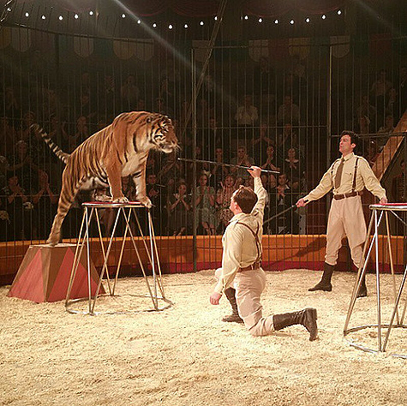 Askoldzap: «В клетке с новым партнёром кино-брато-заменителем Андреем Чернышовым». Фото: Instagram.com/Askoldzap.