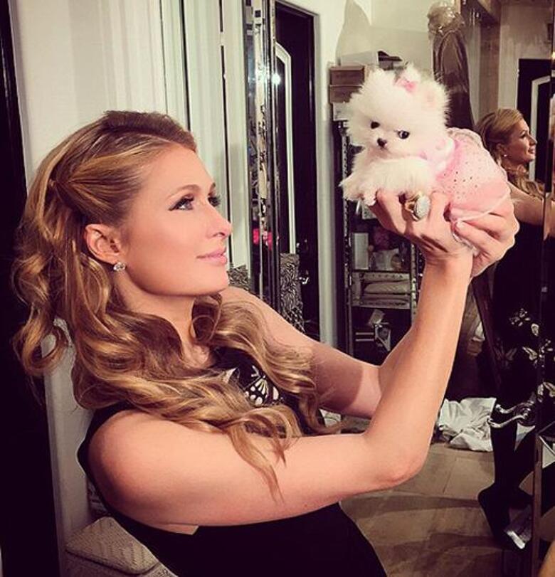 Пэрис Хилтон. Фото: Instagram.com.