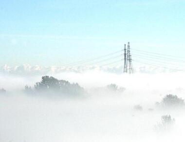 Сон в руку. Фото автора.