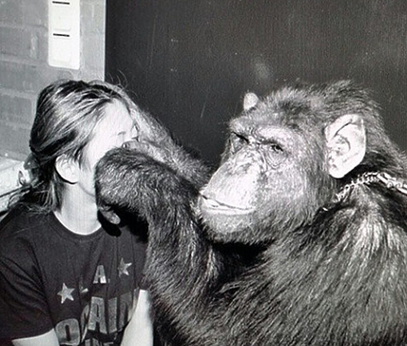 После этой встречи Анита Цой и Бэмби больше не виделись. Фото: Instaram.com/anitatsoy.