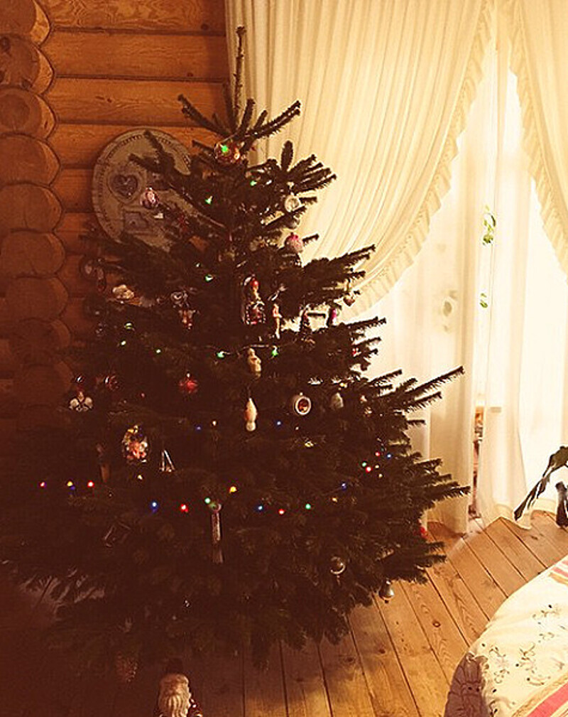 Новогодняя елочка родителей Алены Водонаевой. Фото: Instagram.com.
