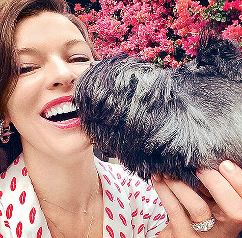 Подписчики Миллы Йовович первыми узнали о беременности звезды. Фото: Instagram.com.