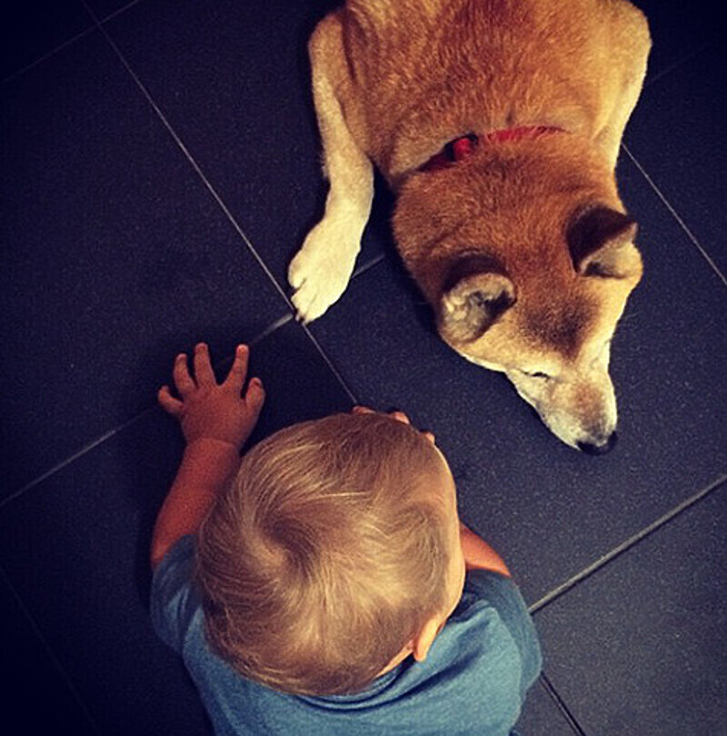 Маленькая Муза и пес Йоши. Фото: Instagram.com/olgashelest.