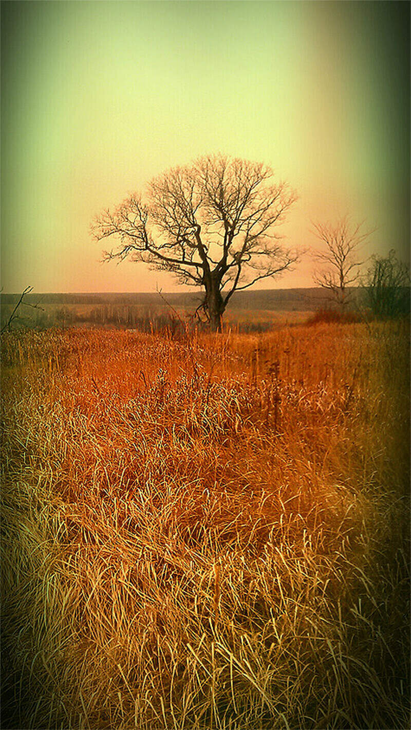 «В ноябре надо смотреть уже не в холодное небо, а на согревающий огонь и непременно внутрь себя». Фото автора.