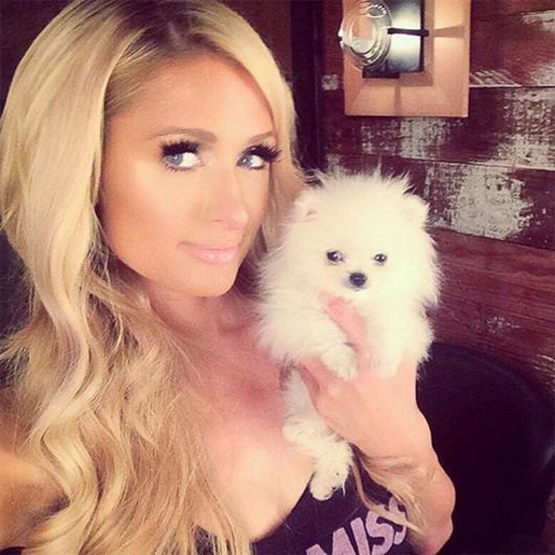 Пэрис Хилтон в восторге от своего нового питомца. Фото: Instagram.com/parishilton.
