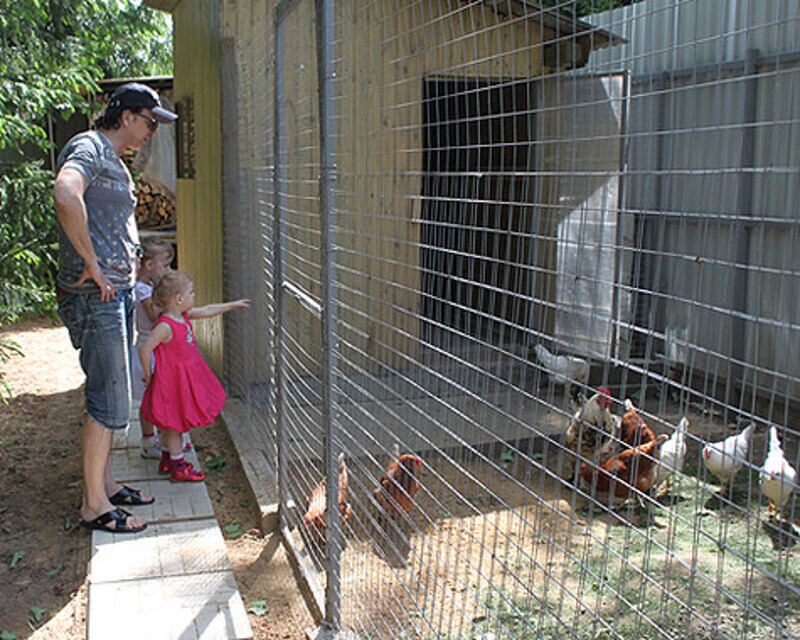 Рома Жуков пообещал своим детям завести курятник. Фото: Гертруда Жигарева.