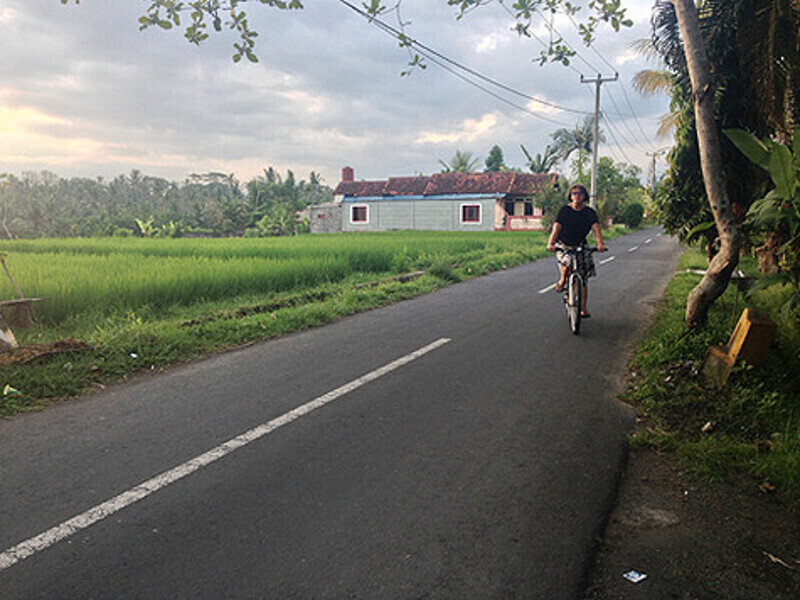 ...И мы тоже решили взять напрокат по велосипеду.