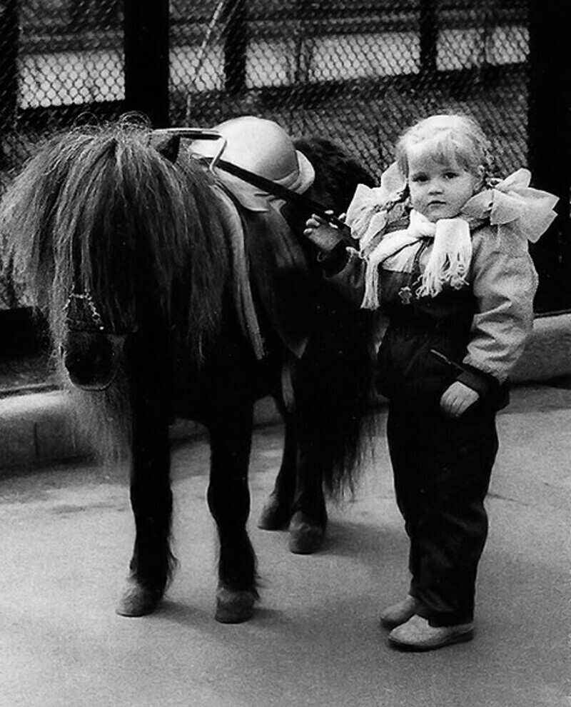 С детства Аня занималась спортивными бальными танцами и восточными единоборствами. Фото: личный архив Анны Михайловской.