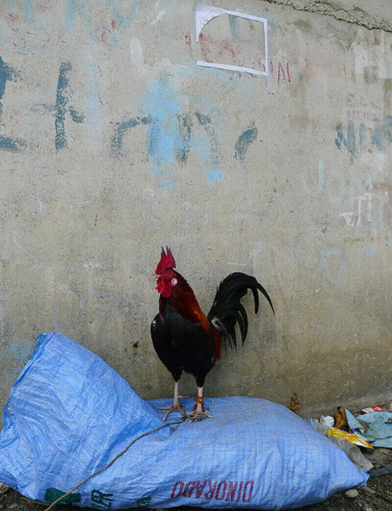 Достаточно зайти за угол шикарного отеля, чтобы столкнуться с нищетой.