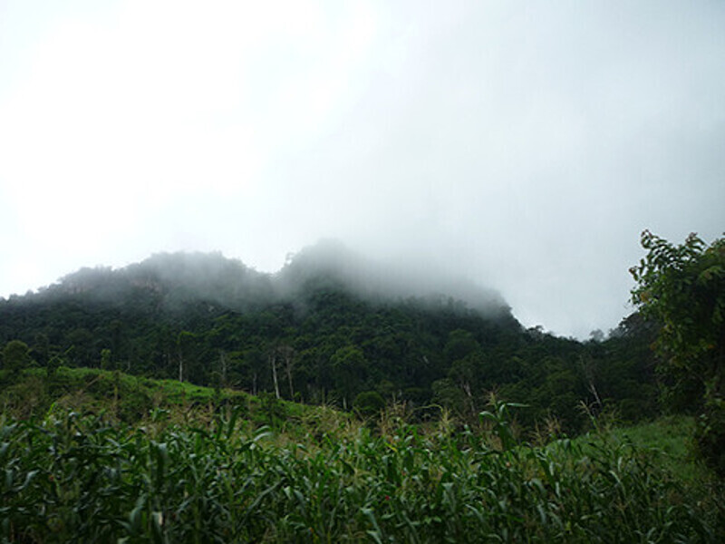 Окрестные пейзажи выглядели порой как иллюстрации к книжкам о затерянных мирах.