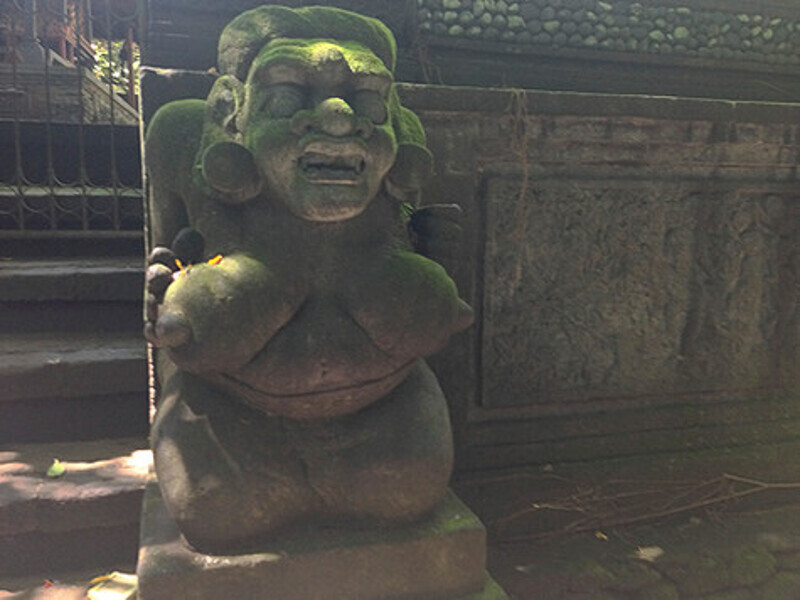 Говорят, раньше женщины на Бали ходили почти нагими – вплоть до 1908 года, пока на остров не прибыли голландцы.