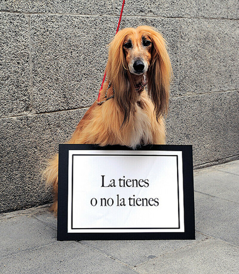 Звезда съемки и напарница Линды – с девизом Aura Magne´tica: «Ты можешь иметь это либо не иметь». Фото: материалы пресс-служб.