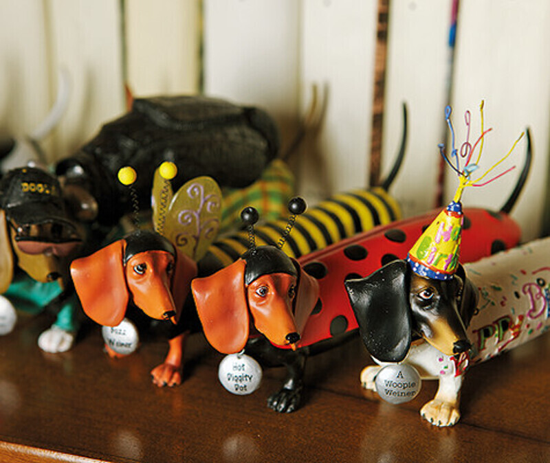 Ради этих симпатяг Максим Юрьевич год «кошмарил» хозяйку магазинчика в Монако. Фото: Сергей Козловский.