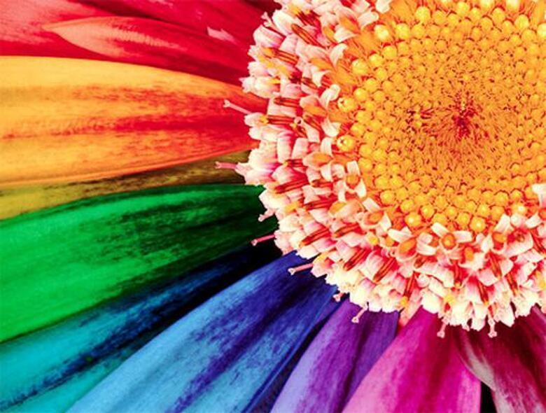 Фото: rybelm.ru.