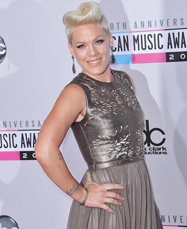 Пинк. Фото: Camera Press/Fotodom.ru.