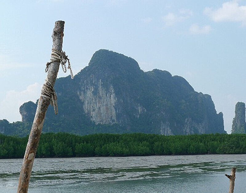 Местные пейзажи как будто служили декорациями к фильму «Аватар».