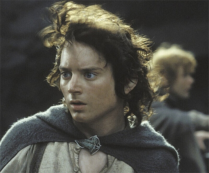 Элайджа Вуд. Кадр из фильма "Властелин колец". Фото: www.kinopoisk.ru.