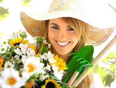 Какие лекарства нужны в дачной аптечке? Фото: Fotolia/PhotoXPress.ru.