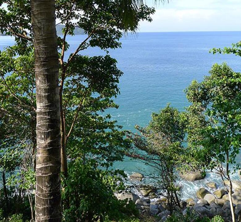 Виды Таиланда. Фото: Ольга Сапрыкина.