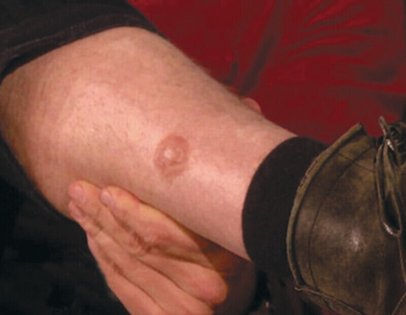 Брэдли Купер. Кадр шоу Эллен Дедженерис.