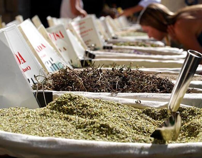 Фото: Fotolia/PhotoXPress.ru.