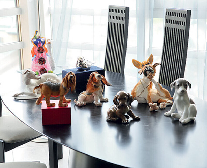 Сегодня у Елены дома «живет» более тридцати молчаливых питомцев. Фото: Мигель.