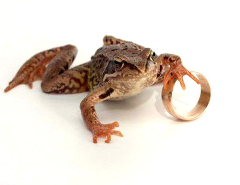 Фото: http://live4fun.ru