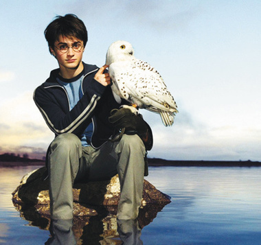 Зверские нравы Голливуда