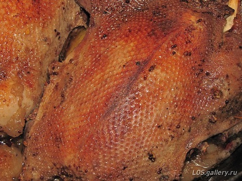 фото: AFP/Photos 12