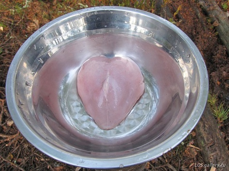 фото: Владимир Чистяков