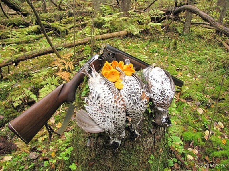 Официально группа появилась в 1985 году, но два ее лидера — Владимир Шахрин и Владимир Бегунов — начали играть вместе с 1976 года.