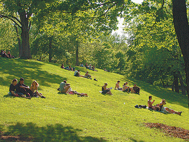 Парки в запарке