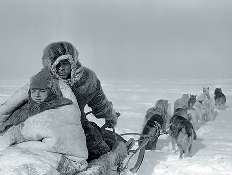 Чукотку снимали на Кольском полуострове, недалеко от города Апатиты. А вот чукчи были настоящие. Они привезли с собой специально обученных собак и оленей. фото: Совэкспортфильм