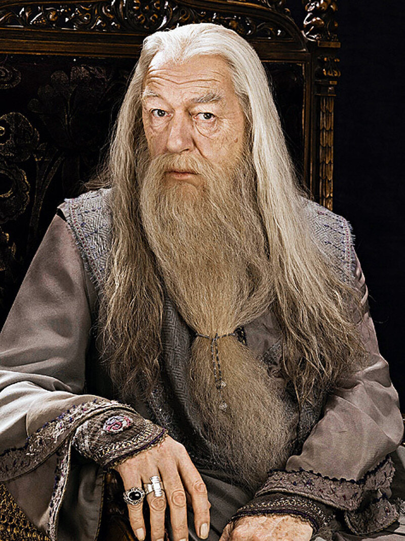 На роль Дамблдора поначалу пробовался Кристофер Ли, но его «победил» актер Ричард Харрис.