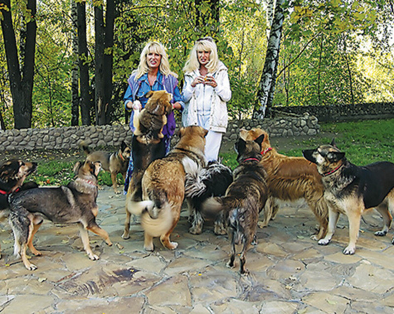 фото: Владимир Чистяков