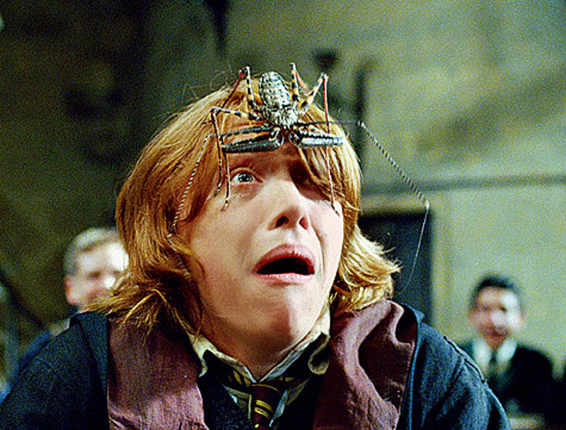 кадр из фильма