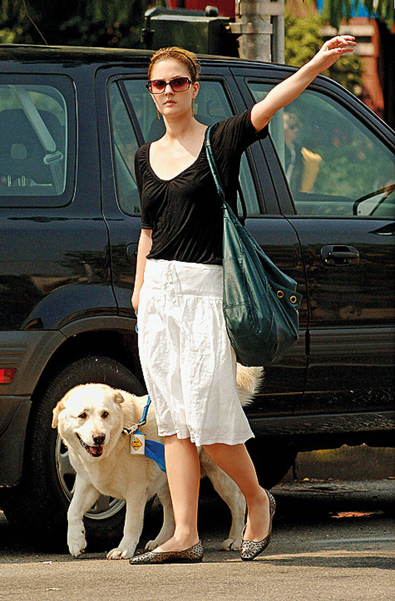 Флосси спасла Дрю Бэрримор от пожара и стала наследницей ее недвижимости.