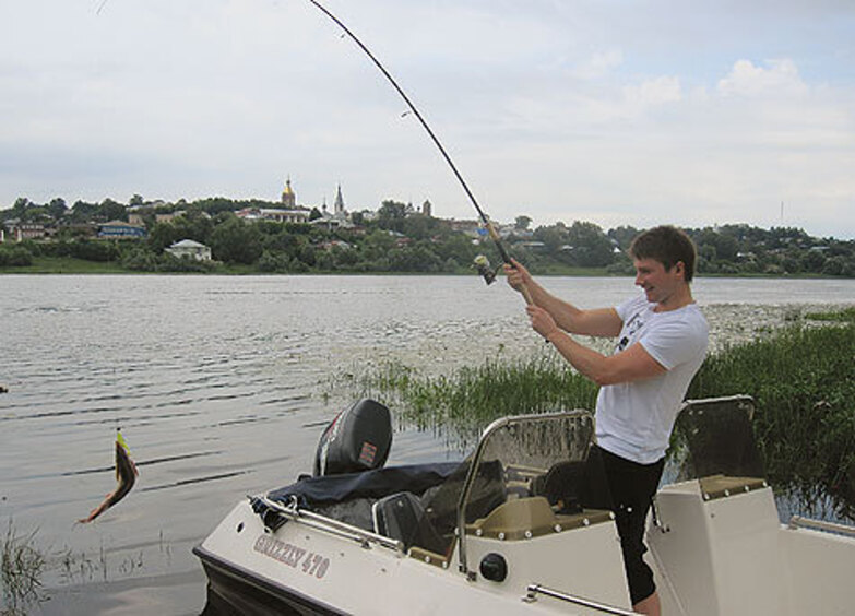 Звездные дачники