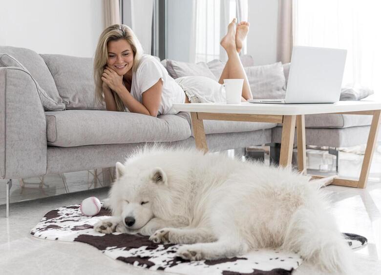 Уютный дом для тебя и&nbsp;питомца: как обустроить пространство без хаоса