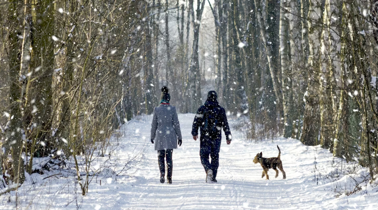 Для бодрости духа и&nbsp;тела: 5 способов перестать клевать носом зимой