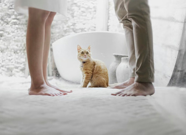 Развод и кактус: почему чаще это происходит после Нового года